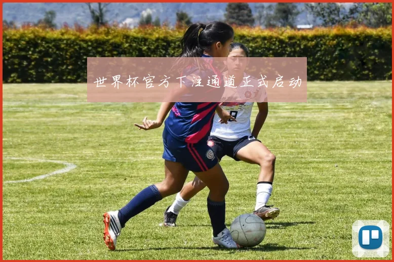 世界杯官方下注通道正式启动