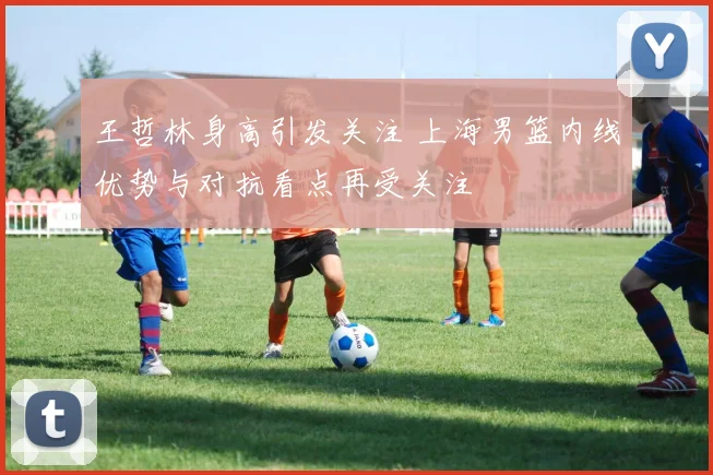 王哲林身高引发关注 上海男篮内线优势与对抗看点再受关注